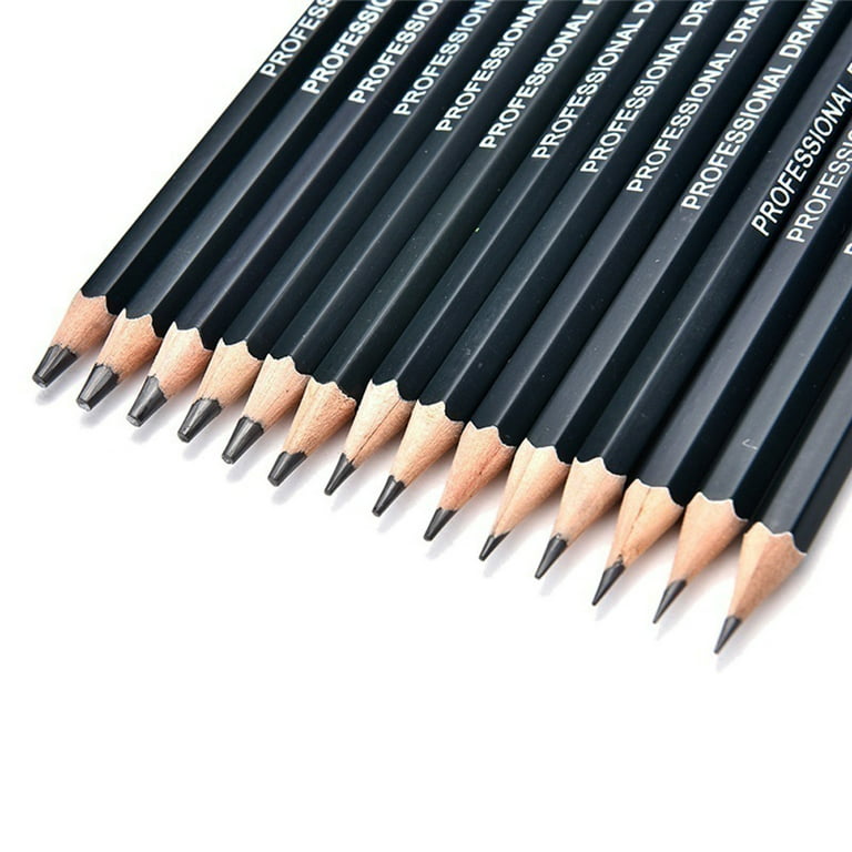 Oalirro Professional Drawing Sketching Pencil Set - 14  Pieces,Graphite,(6H-12B), Ideal for Drawing Art, Sketching, Shading, Artist  Pencils for Beginners & Pro Artists Black 