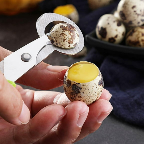 FurNest Pigeon Quail Egg Scissors Cracker Opener C