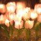thumbnail image 5 of Flor de TulipáN Artificial, Adornos de Luz , LáMpara de Noche DIY Hecha una Mano, LáMpara de Noche LED, DecoracióN de Dormitorio, LáMpara de Mesa, Rosa, 5 of 5