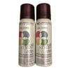 Pureology Colour Stylist Supreme Control Hairspray Duo 2.1 oz Each