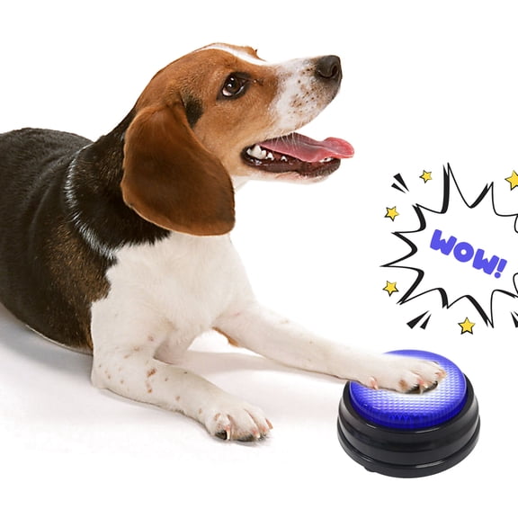 Voice box,With Led Function Button With Led Resources Answer Buzzers Function Sound Button Any 30 Seconds Buzzers Any 30 Jinmie Resources Buzzers O Zdhf Sound Button Resources