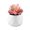 4, variant on Mini Fake White Ceramic Potted Succulents Artificial Plants - Faux Succulents Plants for Home , Office Shelf Decorations Artificial Multilayer Succulent Plant Bonsai for Home