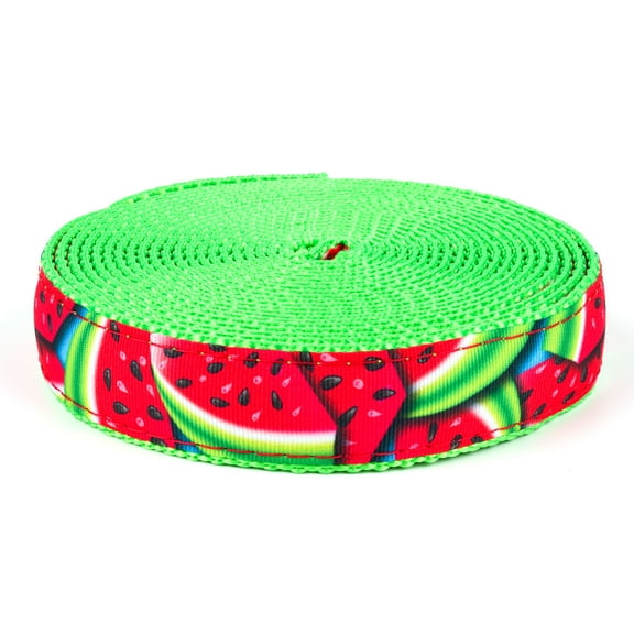 Country Brook Design - Summer Melon Ribbon on Hot Lime Green Nylon Webbing (3/4 Inch, 20 Yards)