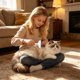 thumbnail image 1 of Peine Desenredante para Perros y Gatos: Cepillo para Eliminar El Pelo Muerto y Nudos Sueltos, Así Como El Pelaje de Razas de Pelo Largo o Corto. Rastrillo Ergonómico para El Aseo., 1 of 6