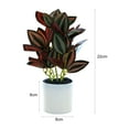 thumbnail image 6 of Kripyery Simulation Pot Plant Realistic Looking Not Wither Geometric Shape Potted Unfading Maintenance Free Decorate Exquisite Details Home Decor Artificial Plants Bonsai for Home, 6 of 8