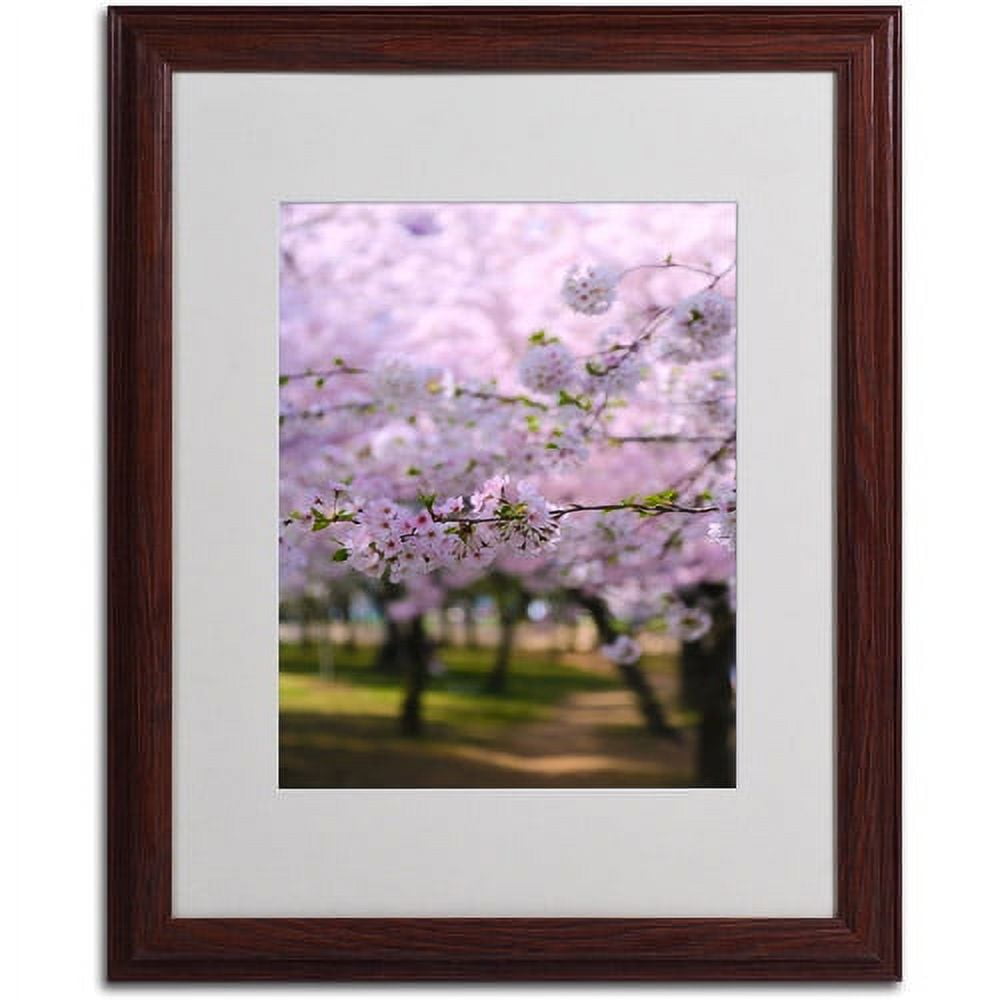 Trademark Fine Art "DC 2" Matted Framed Art by CATeyes