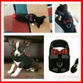 Musthave ultra adorable tiny soft mesh harness lead vest for XXS XS