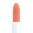 wet n wild Mega Last HighShine Lip Color, Peach Please