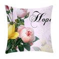 thumbnail image 1 of Panxico Pillow Case Print Pillow Case Polyester Sofa Car Cushion Cover Home Decor D, 1 of 2