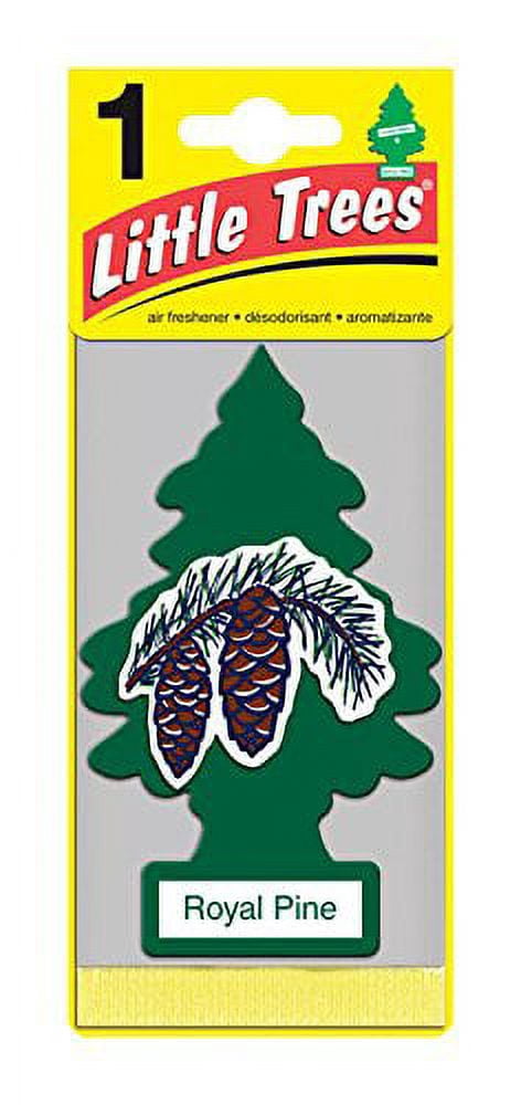 Little Trees Royal Pine Car Air Fresheners, Pack of 24