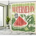 thumbnail image 4 of Ambesonne Vintage Shower Curtain, Old Faded Funny Graphic, 69"Wx70"L, Green Red Ecru, 4 of 4