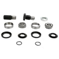 thumbnail image 1 of Pivot Works Swing Arm Bearing Kit for Kawasaki KFX 700 2004-2009, 1 of 1