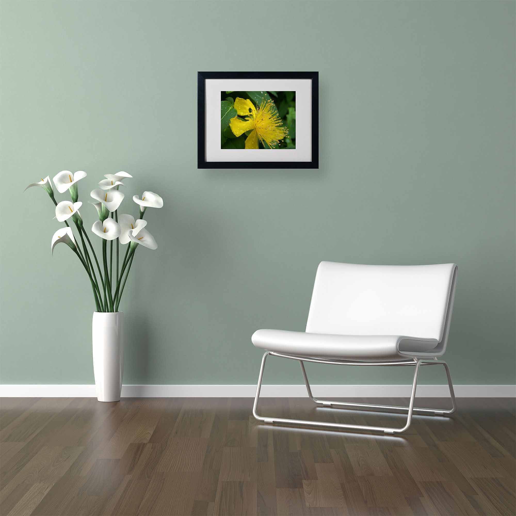 Trademark Fine Art "Mana" Canvas Art by Monica Fleet, White Matte, Black Frame