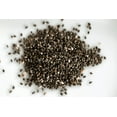 thumbnail image 2 of TomorrowSeeds - Chia Seeds - 2000+ Count - For 2026 Planting Salvia Hispanica Herb Purple White, 2 of 8