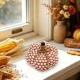 thumbnail image 5 of WKSCLPAI Halloween Knitted Pumpkin Decoration Orange Color Thanksgiving Festival Party Home Shelf Tabletop Display Ornament, 5 of 6