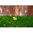 thumbnail image 4 of Juguete para empujar pato de madera de Jack Rabbit Creations – Andador clásico con temática de animales para niños y niñas - 18 meses – Juguete plegable ecológico para niños pequeños para el desarroll, 4 of 5
