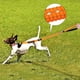 thumbnail image 4 of Correa resistente para perros grandes de hasta 40 kg, correa elástica reflectante para entrenamiento de paseo con amortiguación de impactos y hebilla para cinturón de seguridad de, 4 of 8