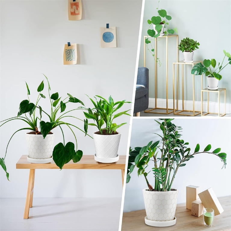 Modern Ceramic Planter Set, 3-Piece with Drainage photo 2