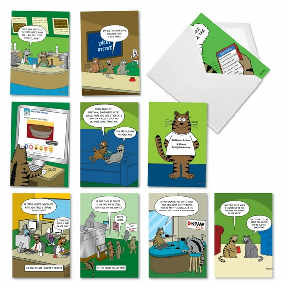 10 Assorted Set Funny Birthday Greeting Cards w/5 x 7 Inch Envelopes - Scott Metzger's Cat Toons - Funny Feline Illustrations