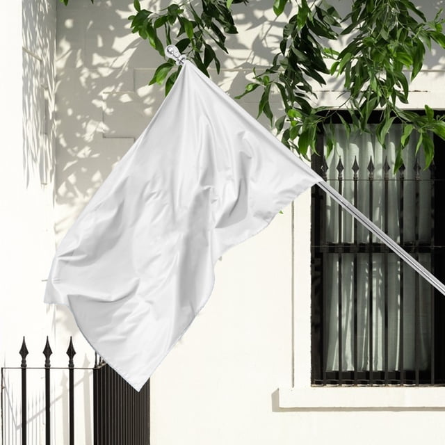 OULII Support de Mât de Drapeau en Acier Inoxydable pour Extérieur, pour Maison et Ensemble