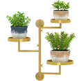 thumbnail image 1 of Indoor Rotating Plant Shelf: 3-Tier Optimal Sunlight Exposure, Space-Saving Wall Shelf, 1 of 5