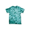 thumbnail image 1 of Dyenomite - T-Shirt Tie-Dye Cyclone Pinwheel, 1 of 1