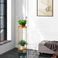 thumbnail image 6 of Plant Stand Plant pots Indoor Stands – Metal Flower Pots Stand Plant Shelf for Multiple Plants,2 Tier Removable Display Plant Table Gardeing Gifts for Living Room Outdoor Garden Balcony Décor Gold, 6 of 7