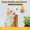thumbnail image 4 of piezas de juguetes con hierba gatera, juguete para limpieza de dientes para gatos, 4 of 6