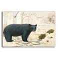 thumbnail image 1 of Epic Art 'Northern Wild Bear' by James Wiens, Acrylic Glass Wall Art, 16"x12", 1 of 8