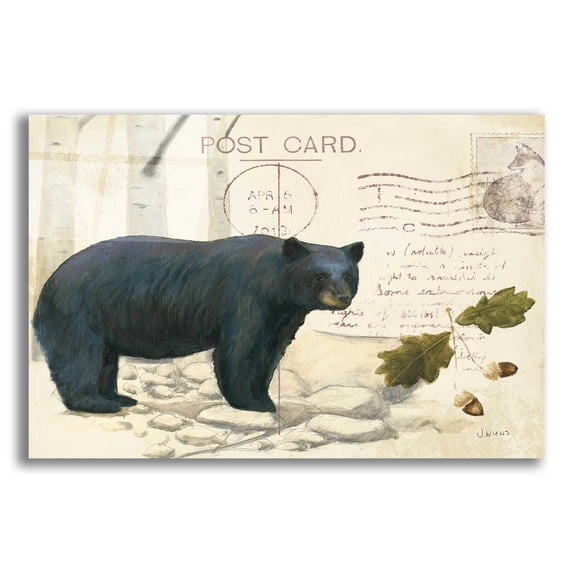 Epic Art 'Northern Wild Bear' by James Wiens, Acrylic Glass Wall Art, 16"x12"