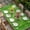 Green, variant on Rugby Sport Table Cloths for 4 Foot Rectangle Tables, American Football Field Stadium Patio Waterproof Elastic Fitted Tablecloths, Washable Rectangular Table Cover for Camping
