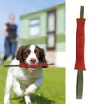 thumbnail image 2 of Dog Training Rod, Durable With Dual Handles Dog Bite Training Tug, For Pet Dog, 2 of 8