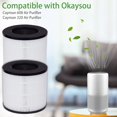 thumbnail image 4 of 608/320 Filter Compatible with Okaysou Cayman 608/320 Air Purifier 3-in-1 True HEPA High-Efficiency Activated Carbon Pre, 4 of 7