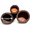 thumbnail image 4 of Pack of 3 Bamboo Sticks - 6 Feet Long Natural Thick Bamboo Poles - 1.5 in Diameter - Garden Stakes, 4 of 4