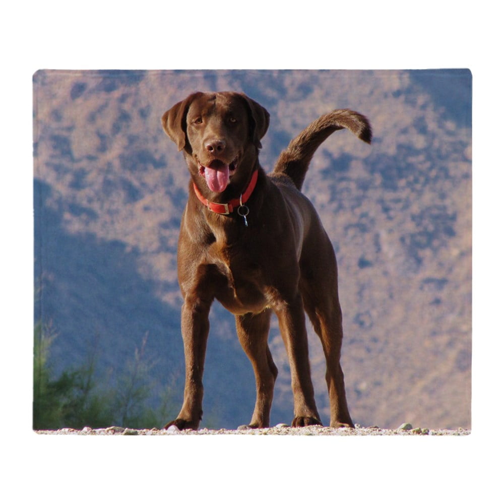 CafePress Lovable Chocolate Lab Throw Blanket Soft Fleece Throw