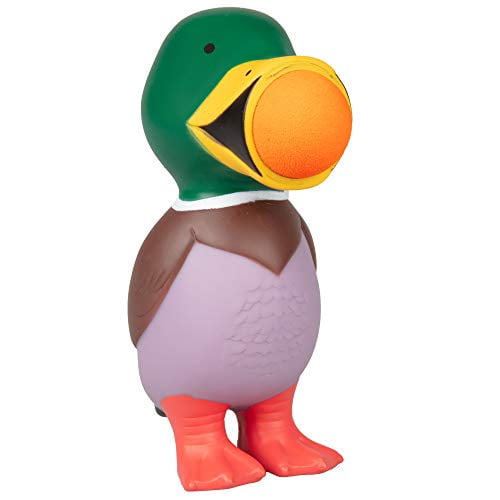 duck popper toy