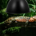 thumbnail image 4 of Reptile Box Lamp Shade Heat Lamp Shade Reptile Tank Reflector Lamp Shade, 4 of 8