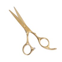 Portable 5.5 Inch Length Straight Scissors for Long Short Thick Hard Soft Hair for Men Women Gold Tone