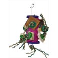 thumbnail image 1 of Fun Spongi, Moyen, 1 of 1