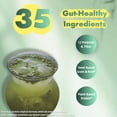 thumbnail image 4 of Proteína en polvo Seedify Gut Health, 450 ml, sabor a matcha vegano, 4 of 7