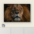 thumbnail image 3 of wall26 Canvas Print Wall Art Close Up Detail African Safari Lion Portrait Nature Animals Photography Realism Rustic Scenic Landscape Wilderness Zen Colorful for Living Room, Bedroom, Office - 24&quot, 3 of 5