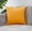 ZT111-19 yellow 20''x20'' (Without Inserts), variant on Square 20''x20'' Pack of 2 Velvet Solid Colors throw Pillow (With or Without Inserts)