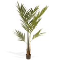 thumbnail image 1 of National Arbre RAS-TH398P6 5.8 Ft. Kentia Palmier Arbre en Pot, 1 of 1