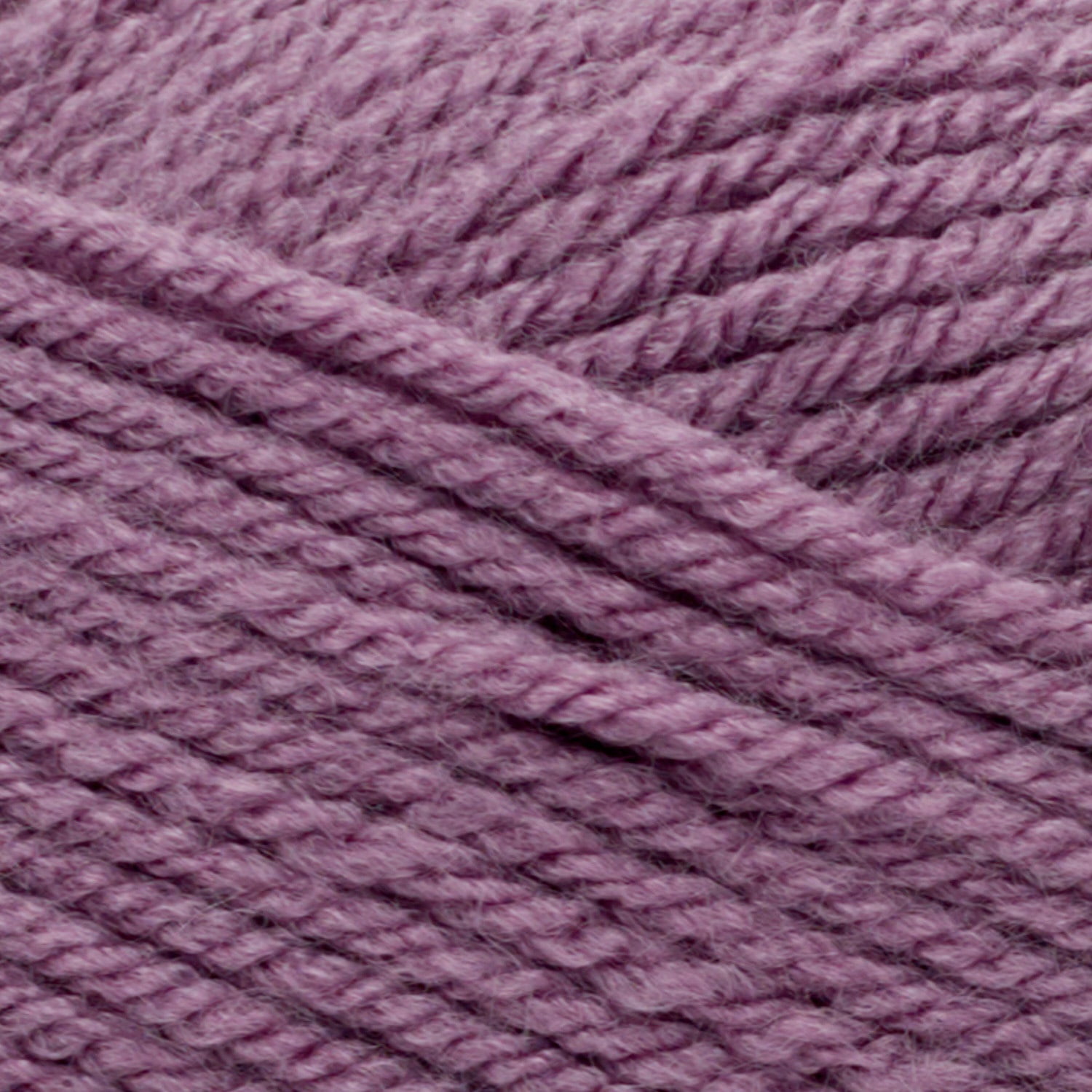 1142|20 Orchid