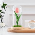 thumbnail image 1 of Preserved flower tulip Christmas gift, 1 of 3