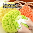 thumbnail image 4 of Esponja para ducha Bearachild Accesorios de baño color amarillo, 4 of 6