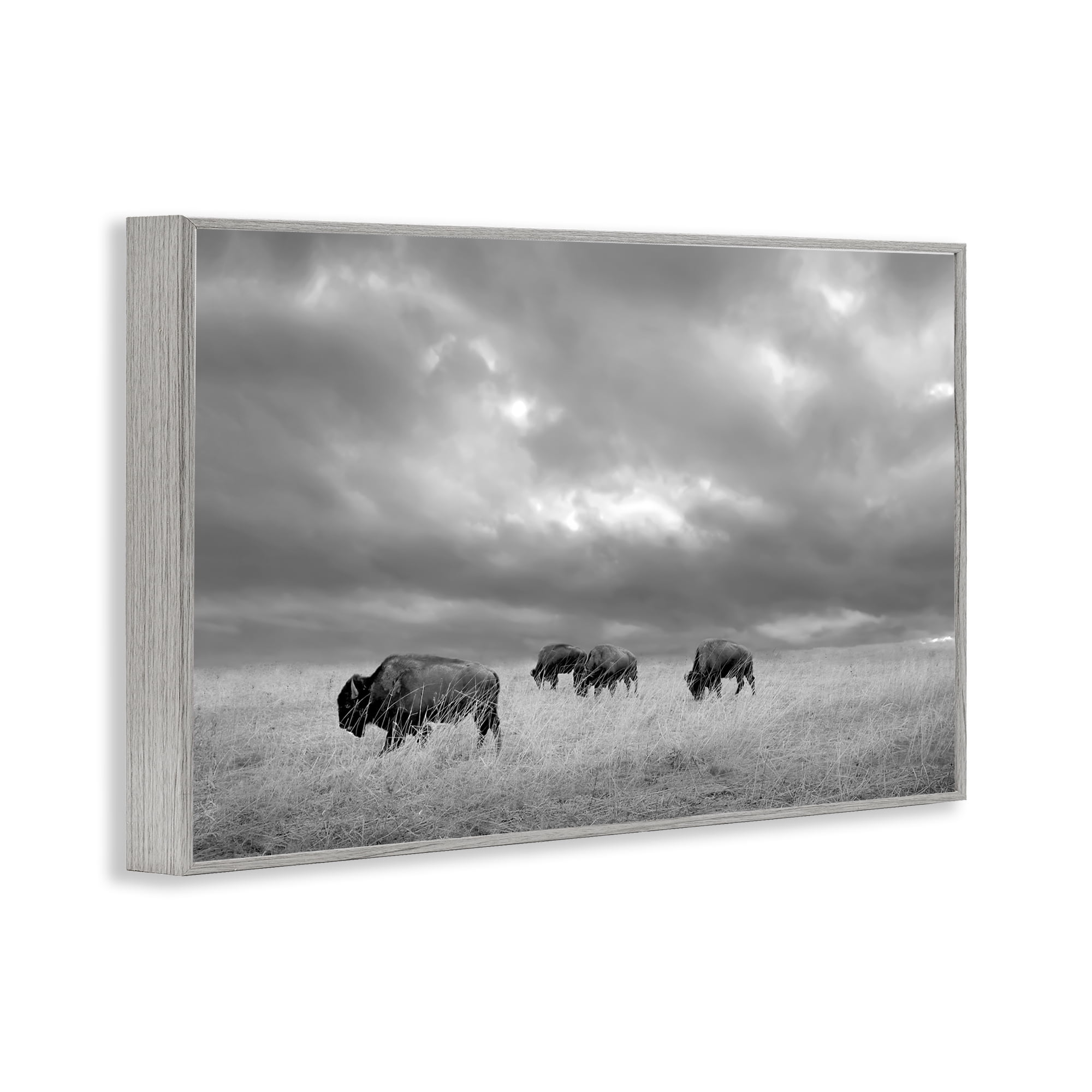 Stupell Industries Bisons Under an Autumn Sky Gray Framed Giclee Art, design by Steve Toole