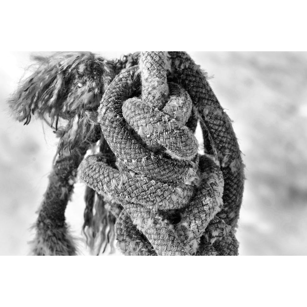 Canvas Print Rope Knitting Twisted Ropes Knot Knotted Woven Stretched