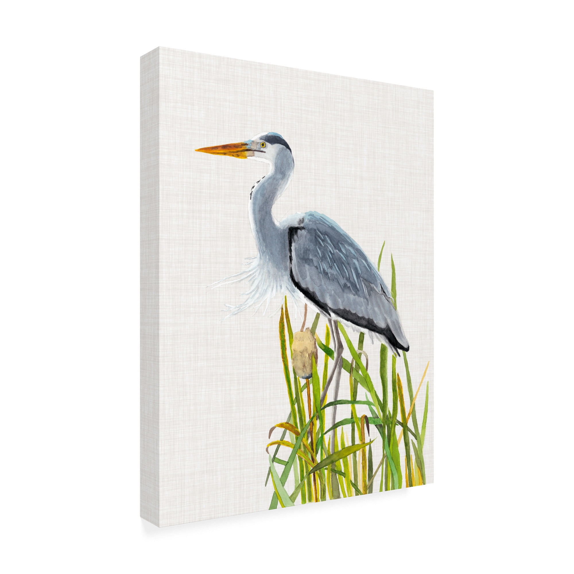 Trademark Fine Art 'Water birds And Cattails II' Canvas Art by Naomi McCavitt