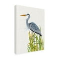 thumbnail image 2 of Trademark Fine Art 'Water birds And Cattails II' Canvas Art by Naomi McCavitt, 2 of 3